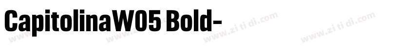 CapitolinaW05 Bold字体转换